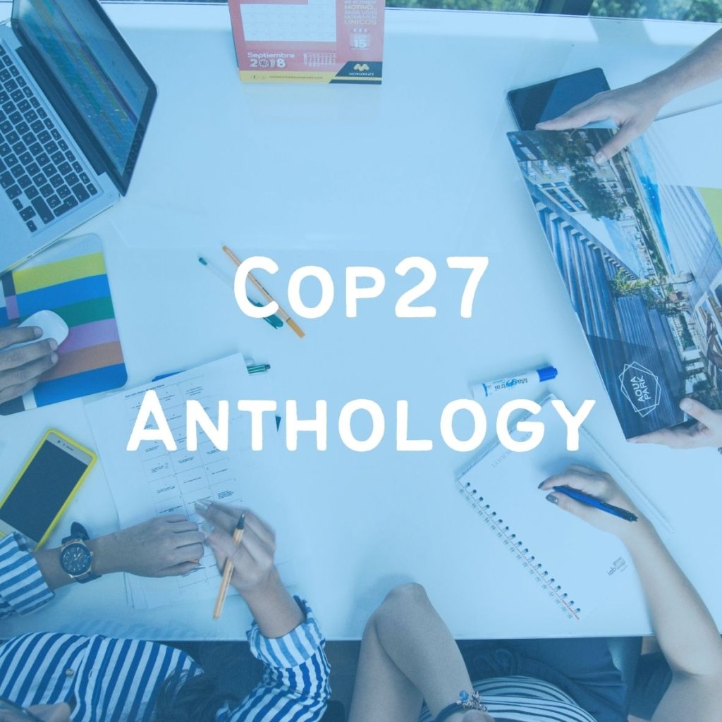 COP 27